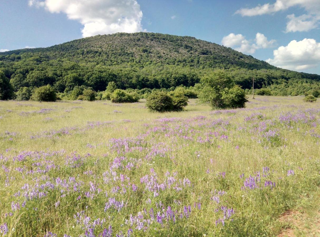 Forrasvoelgy Vendeghaz Διαμέρισμα Jósvafő Εξωτερικό φωτογραφία